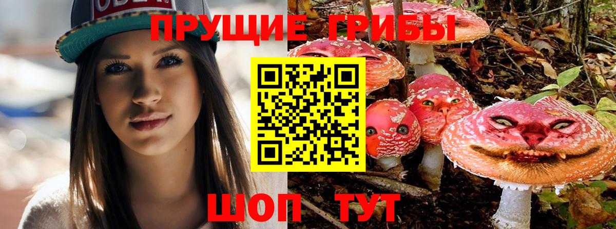 Галлюциногенные грибы мухоморы  Вход с VPN  магазин    Владимир 